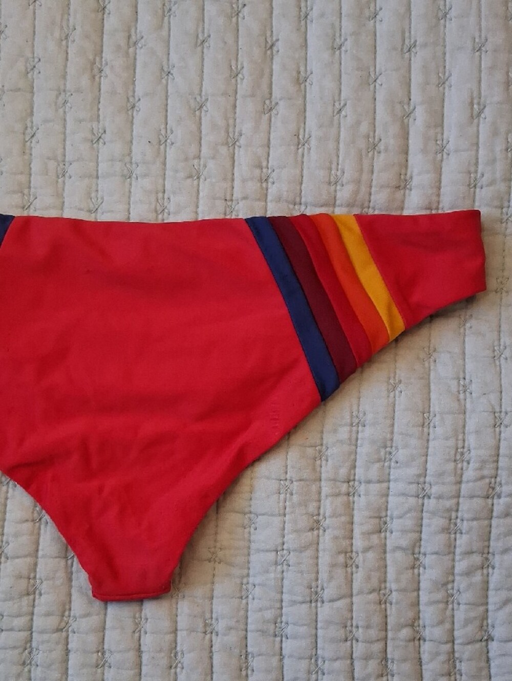 Aviator Nation Red Bikini Bottoms - Picture 7 of 13
